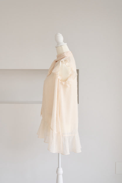 dot sheer blouse