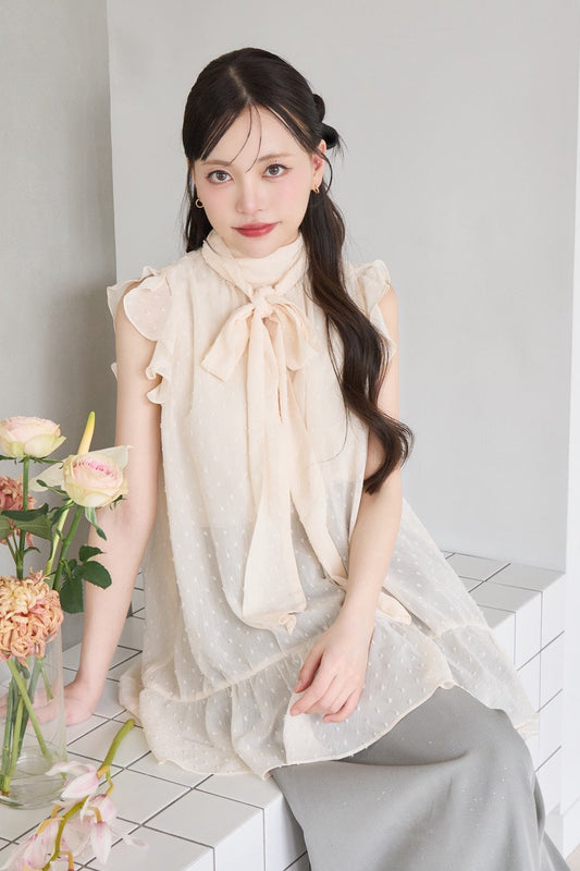 dot sheer blouse