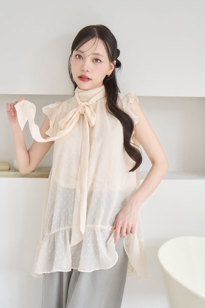 dot sheer blouse