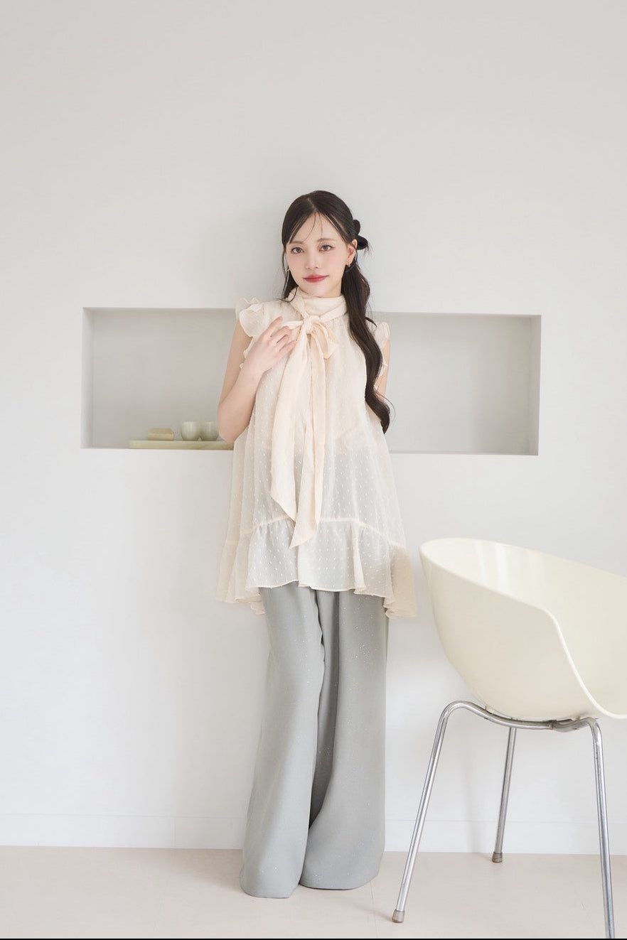 dot sheer blouse